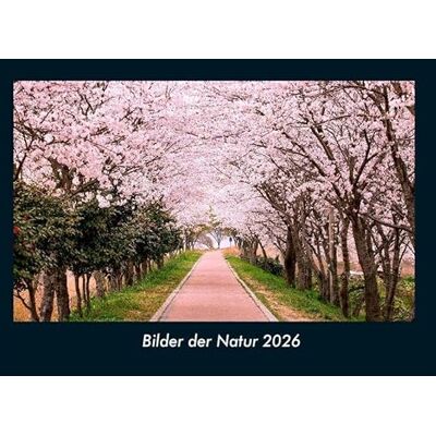 Becker Bilder der Natur 2026 Fotokalender DIN A4: Monatskalender mit Bild-Motiven aus Fauna und Flora, Natur, Blumen und Pflanzen Becker Bilder der Natur 2026 Fotokalender DIN A4: Monatskalender mit Bild-Motiven aus Fauna und Flora, Natur, Blumen und Pflanzen