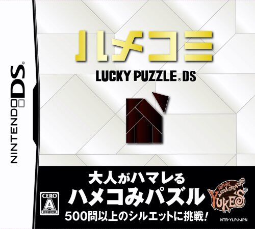 Nintendo ハメコミ LUCKY PUZZLE DS