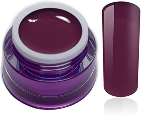 RM Beautynails Colorgel  Gel colorato Caspia Plum viola prugna Premium 5 ml