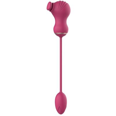 DREAM TOYS Essentials Flexible Dual Stimulator and Vibrating Egg Pink 29 cm DREAM TOYS Essentials Flexible Dual Stimulator and Vibrating Egg Pink 29 cm