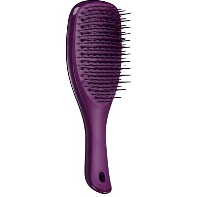 Tangle Teezer La mini spazzola districante per capelli, delicata sui capelli bagnati, denti a due livelli e impugnatura comoda, ideale per bambini e viaggi, riduce nodi e rotture, prugna mezzanotte Tangle Teezer La mini spazzola districante per capelli, delicata sui capelli bagnati, denti a due livelli e impugnatura comoda, ideale per bambini e viaggi, riduce nodi e rotture, prugna mezzanotte