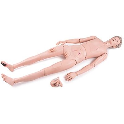 3B Scientific Manichino Infermieristico, a Grandezza Naturale, Versione Basic 3B Scientific Manichino Infermieristico, a Grandezza Naturale, Versione Basic