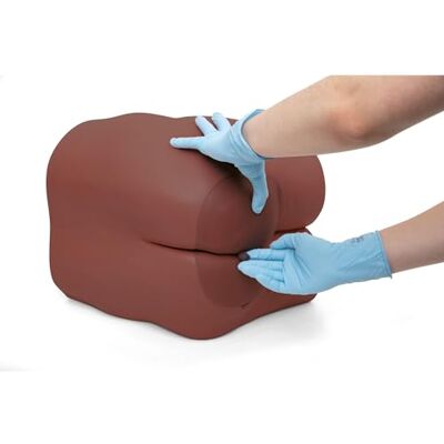 3B Scientific Trainer Cura Intestinale e Clisma (pelle scura) 3B Scientific Trainer Cura Intestinale e Clisma (pelle scura)