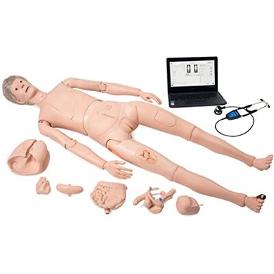 3B Scientific Manichino per procedure infermieristiche con auscultazione, Nikki, Adulto, grandezza naturale 3B Scientific Manichino per procedure infermieristiche con auscultazione, Nikki, Adulto, grandezza naturale