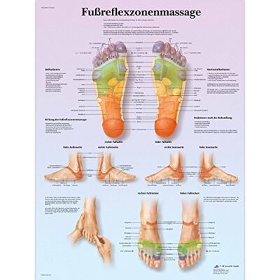 3B Scientific – Laminato Zone Riflessologia del Piede Massaggio Poster – Poster di Anatomia Protetto da UV e Polvere per Studio, Insegnamento e Cliniche 3B Scientific – Laminato Zone Riflessologia del Piede Massaggio Poster – Poster di Anatomia Protetto da UV e Polvere per Studio, Insegnamento e Cliniche