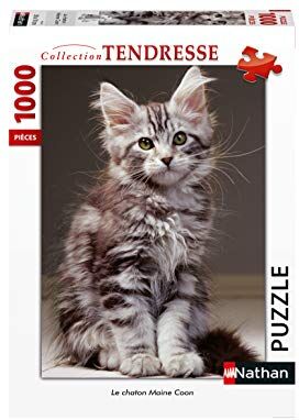 Nathan Puzzle da 1000 pezzi Il gattino Maine Coon Adulti e bambini dai 14 anni Puzzle di alta qualità Incasso perfetto Collezione Teneresse 87643