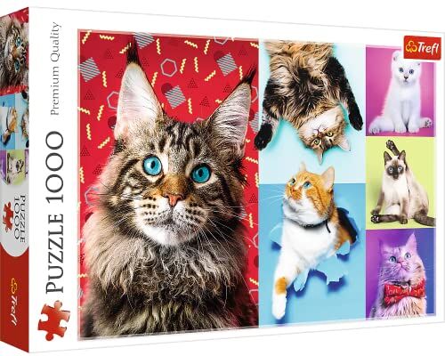 Trefl 1000 Elementi, collage carini, divertenti, gatto, gatti, te, intrattenimento creativo, regalo, divertimento, classici Puzzle, Colore Felici, Lustige Katzen,