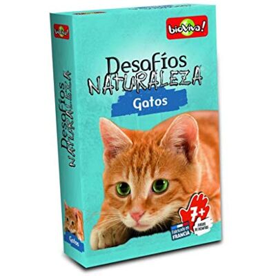 Bioviva Asmodee Gioco di carte Sfide Natura Gatti, Multicolore (Asmodee DES13ES) Bioviva Asmodee Gioco di carte Sfide Natura Gatti, Multicolore (Asmodee DES13ES)