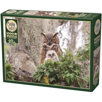 Cobble Hill Great Horned Owl Cobble Hill Great Horned Owl