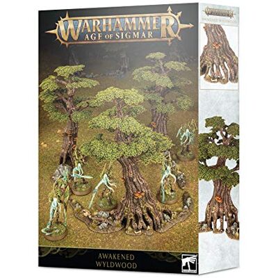 Games Workshop Warhammer Age of Sigmar Age of Sigmar: Awakened WyldWood Games Workshop Warhammer Age of Sigmar Age of Sigmar: Awakened WyldWood