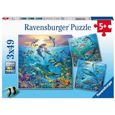 Ravensburger , Puzzle 3x49, Per bambini a partire da 5 anni, 3 puzzle quadrati da 49 pezzi ciascuno, Dimensione puzzle 18x18 cm, Animali degli oceani Ravensburger , Puzzle 3x49, Per bambini a partire da 5 anni, 3 puzzle quadrati da 49 pezzi ciascuno, Dimensione puzzle 18x18 cm, Animali degli oceani