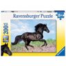 Ravensburger 7 Black Stallion Puzzle Super, 200 Pezzi, Cartone