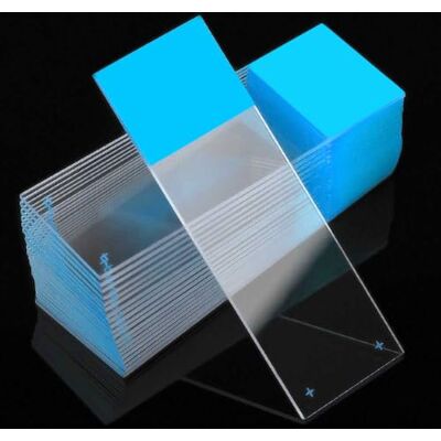 Globe Scientific Diamond Charged Microscope Slides, , Blue Frosted, Optical White Glass, Ground Edges, 90° Corners, 25mm x 75mm, Pre-Cleaned, 72/Box, 1440/CS Globe Scientific Diamond Charged Microscope Slides, , Blue Frosted, Optical White Glass, Ground Edges, 90° Corners, 25mm x 75mm, Pre-Cleaned, 72/Box, 1440/CS