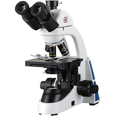 3B Scientific W30915 Microscopio Trinoculare TE5 3B Scientific W30915 Microscopio Trinoculare TE5