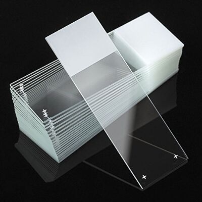 Globe Scientific Diamond Charged Microscope Slides, , White Frosted, Optical White Glass, Ground Edges, 90° Corners, 25mm x 75mm, Pre-Cleaned, 72/Box, 1440/CS Globe Scientific Diamond Charged Microscope Slides, , White Frosted, Optical White Glass, Ground Edges, 90° Corners, 25mm x 75mm, Pre-Cleaned, 72/Box, 1440/CS
