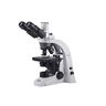 Motic 1101001703231, obiettivo acromatico del piano della CE di CCIS per il microscopio di serie BA310 E, 40X/0.65/S, WD=0.5mm