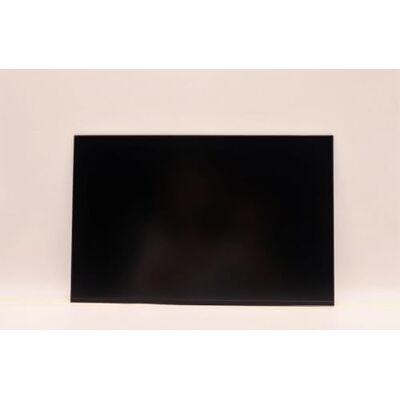 Lenovo DISPLAY AUO 14.0 WUXGA AG (5D10V82364) Lenovo DISPLAY AUO 14.0 WUXGA AG (5D10V82364)