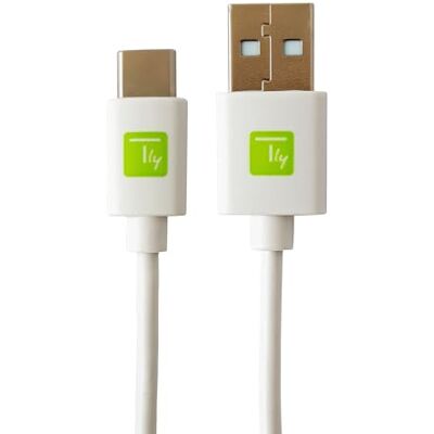 Techly 109399 Cavo USB A Maschio 2.0 / USB-C™ Maschio 1m Bianco Bianco Techly 109399 Cavo USB A Maschio 2.0 / USB-C™ Maschio 1m Bianco Bianco