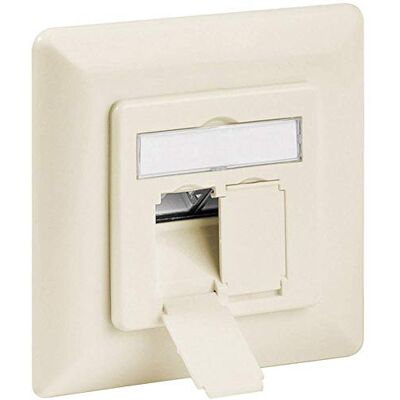 goobay CAT 6a Presa a Muro, Beige goobay CAT 6a Presa a Muro, Beige