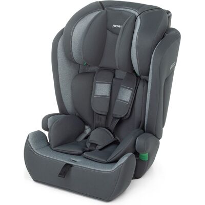 Seggiolino auto Foppapedretti 9700414902 BABYROAD Silver Seggiolino auto Foppapedretti 9700414902 BABYROAD Silver