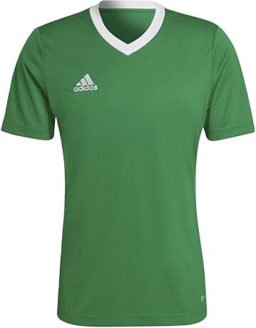 Adidas Entrada 22 Short Sleeve Jersey, T-shirt Uomo, Team Green/White, L