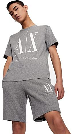 Armani EXCHANGE Logo Icon , T-shirt, Uomo, Grigio, L