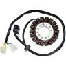 ElectroSport Stator ESG112 per alternatore