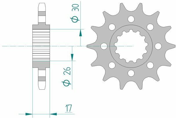 AFAM Pignone standard in acciaio 20615 - 525