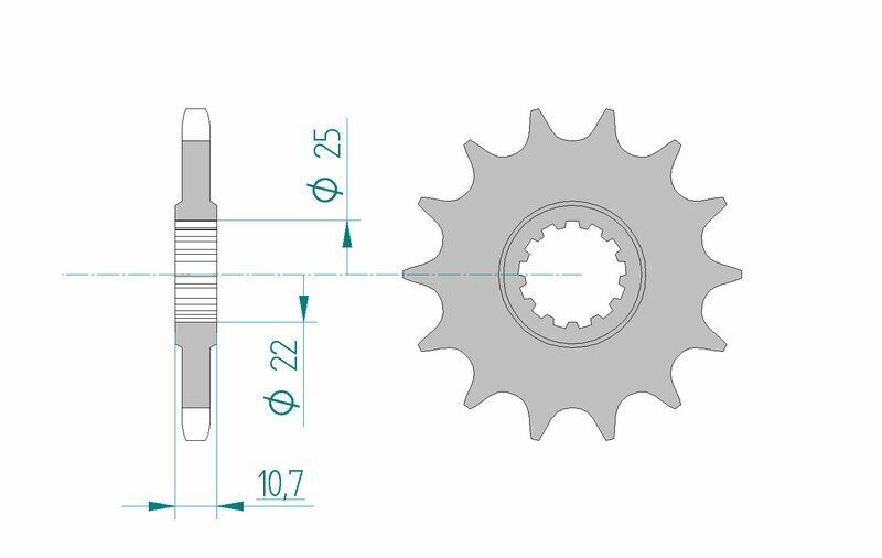 AFAM Pignone standard in acciaio 21606 - 525