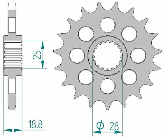 AFAM Pignone standard in acciaio 61602 - 525