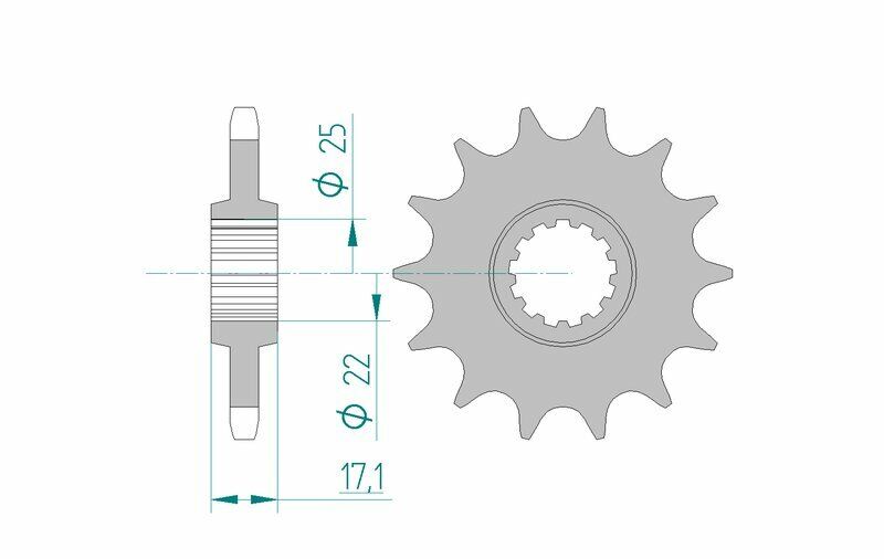 AFAM Pignone standard in acciaio 20405 - 525