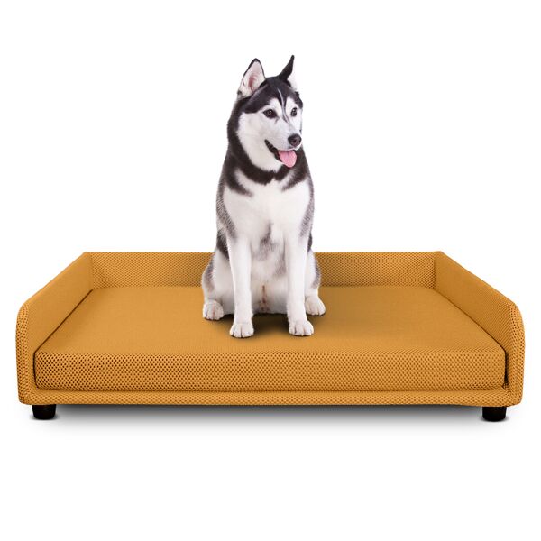 evergreenweb cuccia per cani divano letto king dog home 95x120 giallo