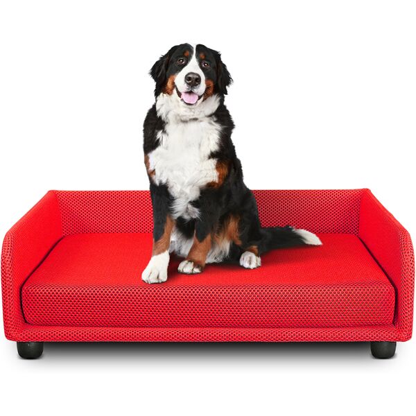 evergreenweb cuccia per cani divano letto king dog home 70x90 rosso