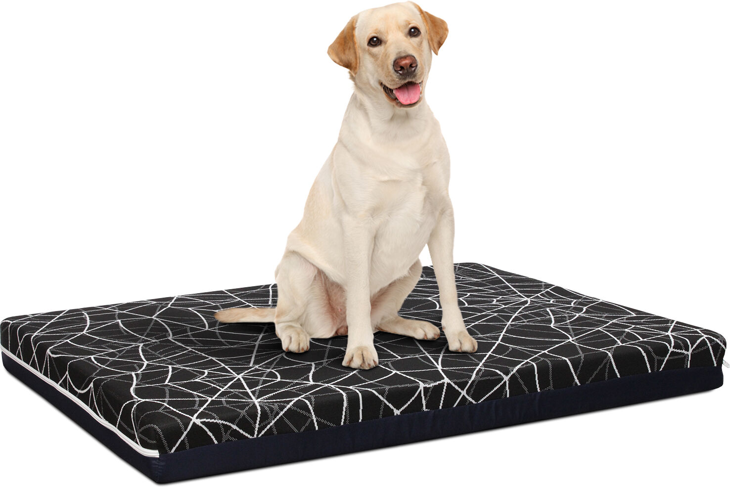 evergreenweb cuccia cane da interno sfoderabile petlove 50x75 cm si ragnatela