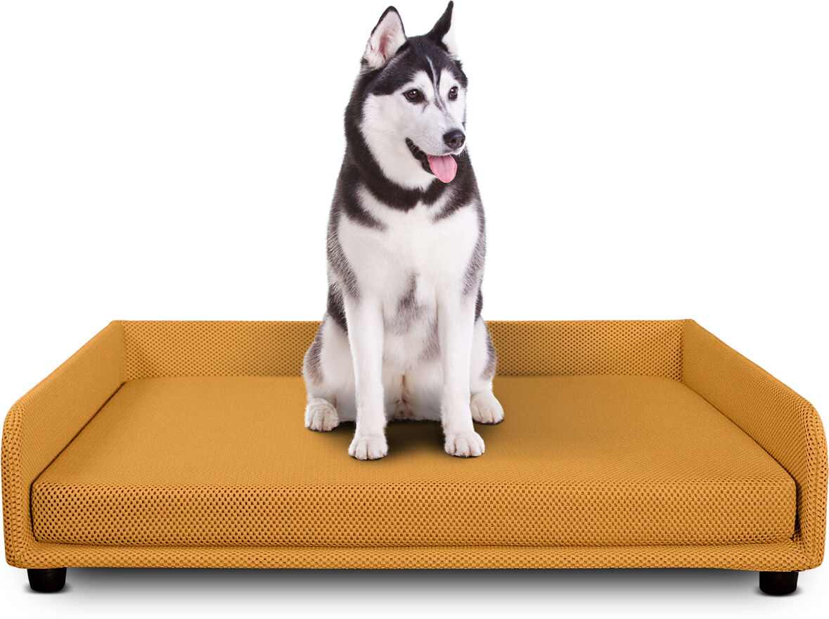 evergreenweb cuccia per cani divano letto king dog home 95x120 giallo