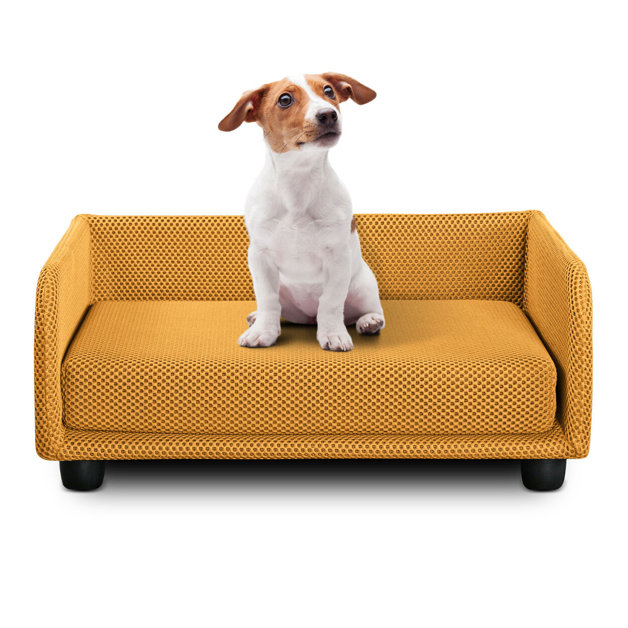 evergreenweb cuccia per cani divano letto king dog home 50x70 giallo