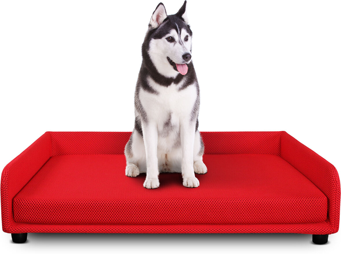 evergreenweb cuccia per cani divano letto king dog home 95x120 rosso