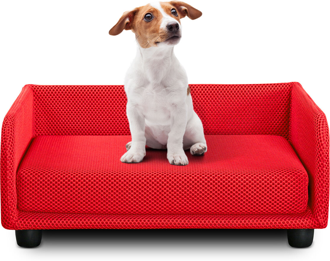 evergreenweb cuccia per cani divano letto king dog home 50x70 rosso