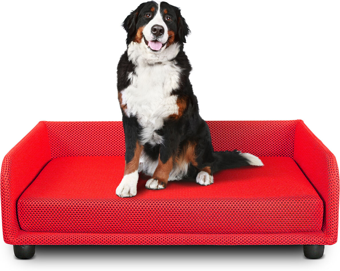 evergreenweb cuccia per cani divano letto king dog home 70x90 rosso