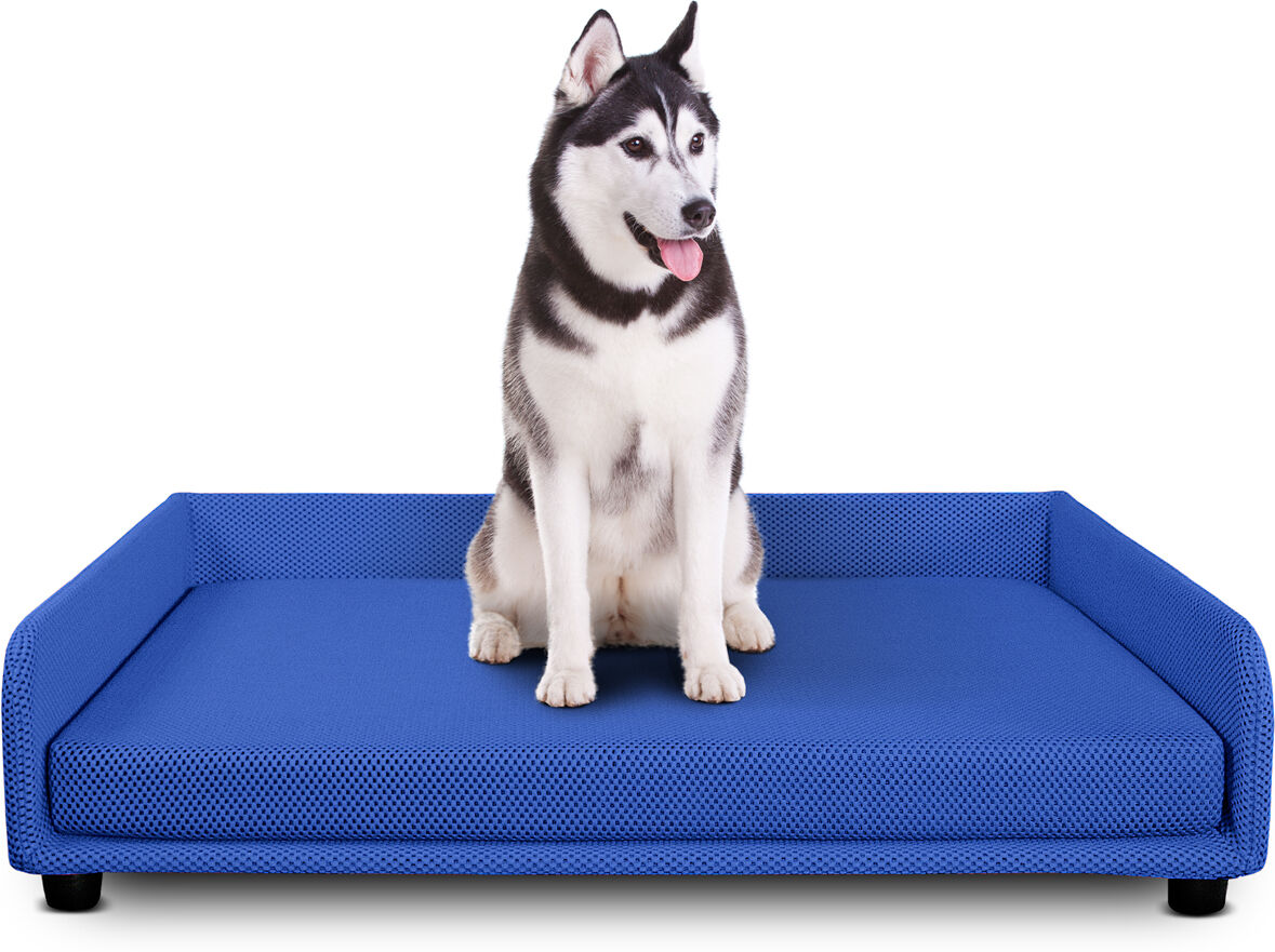 evergreenweb cuccia per cani divano letto king dog home 95x120 blu