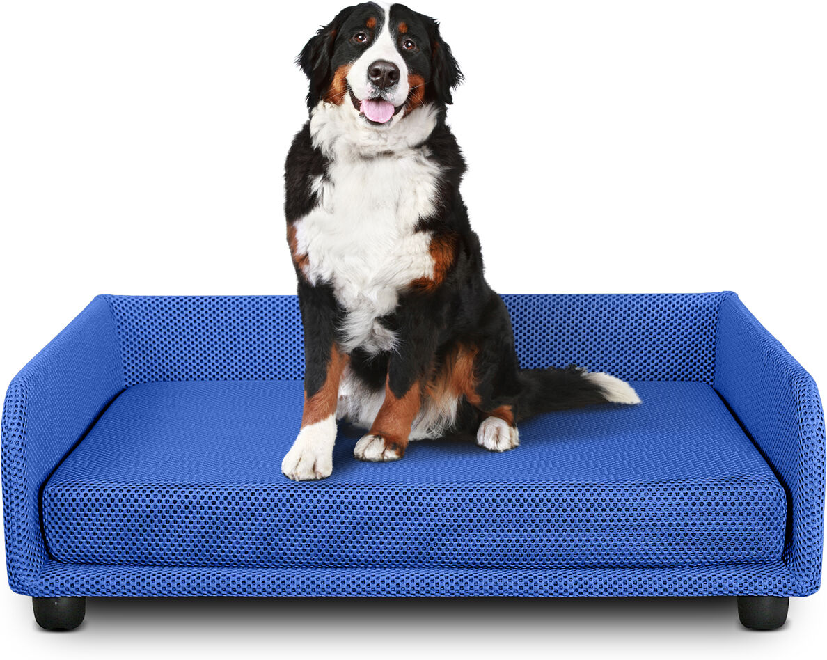 evergreenweb cuccia per cani divano letto king dog home 70x90 blu