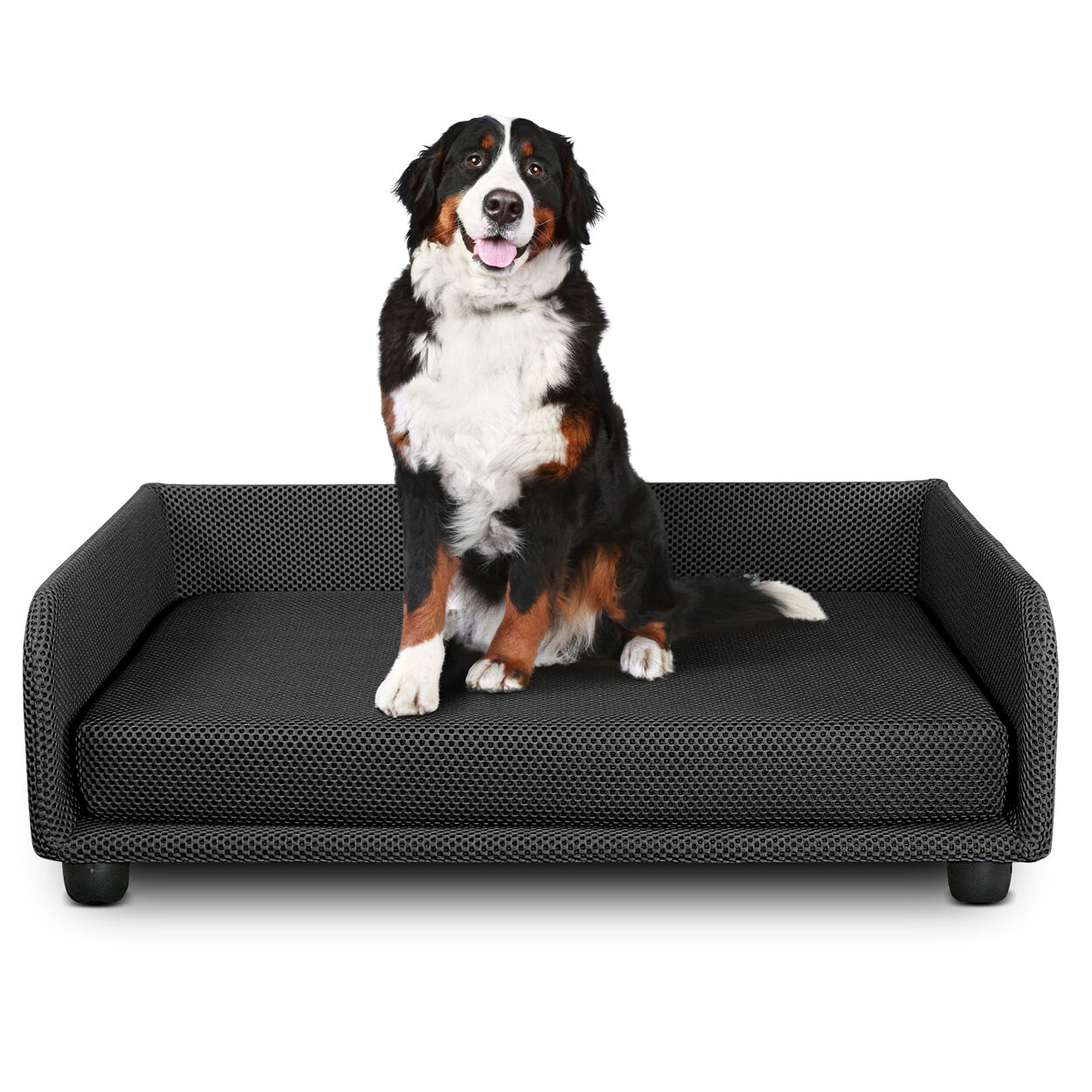 evergreenweb cuccia per cani divano letto king dog home 95x120 nero