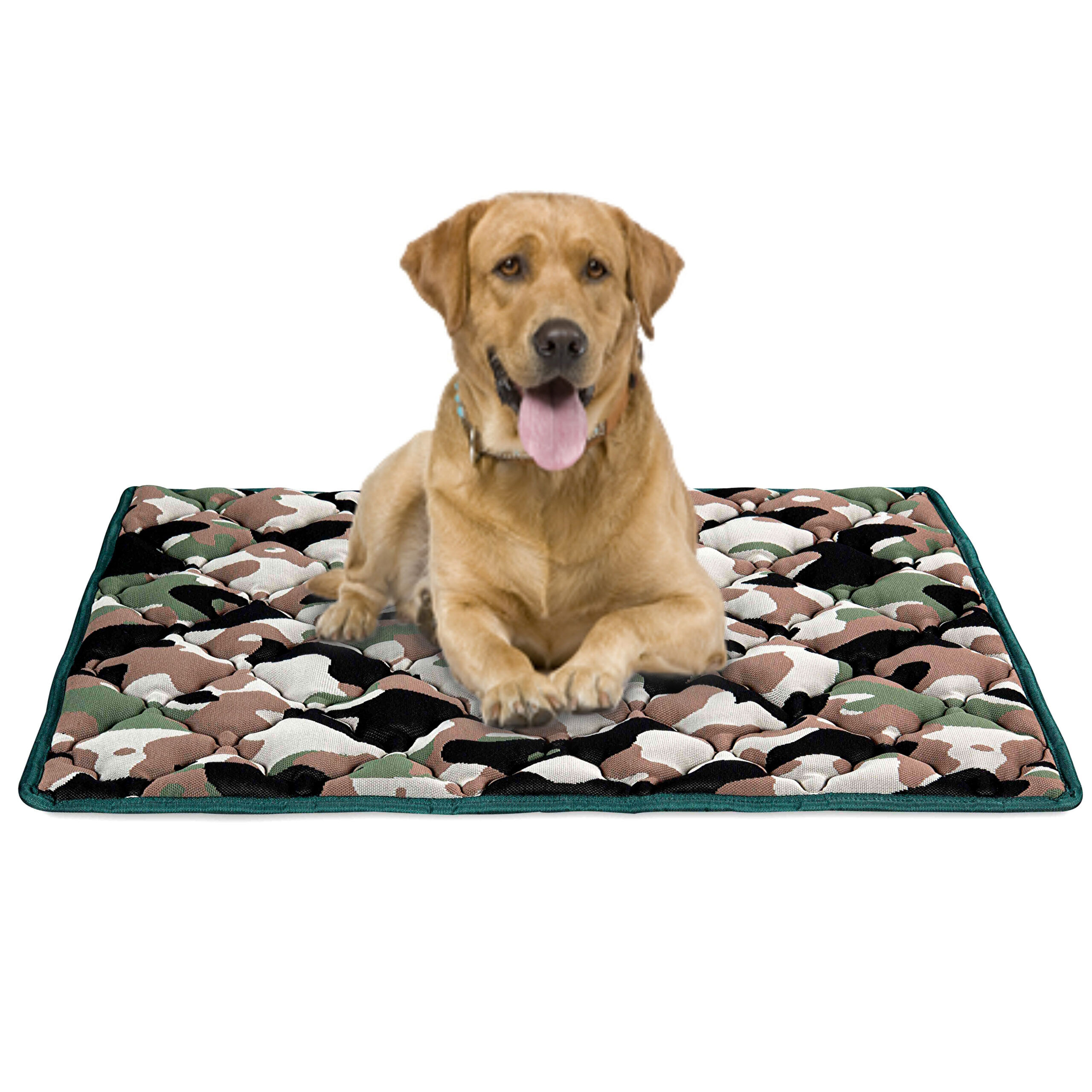 EvergreenWeb Cuccia per Cane DOG 45x65 cm Mimetico