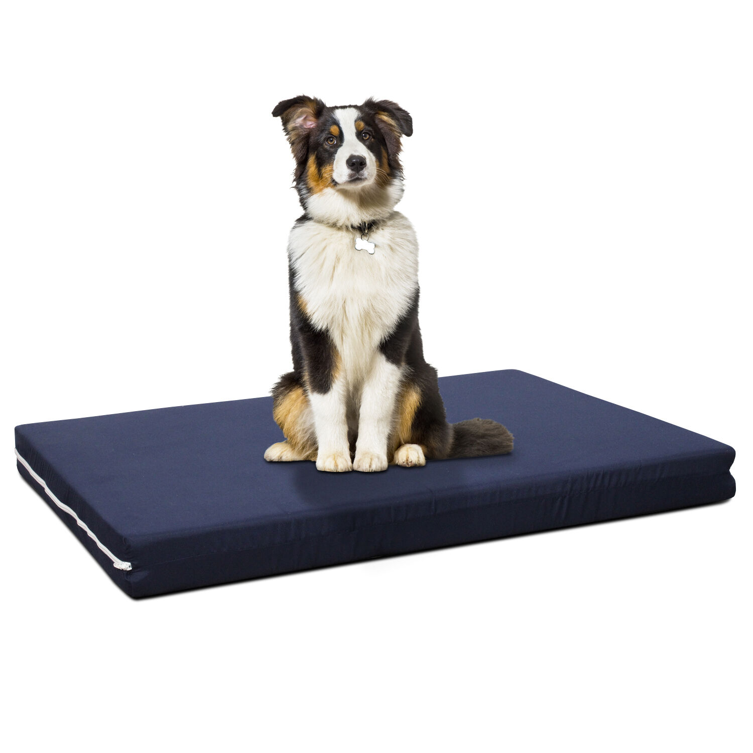 EvergreenWeb Cuccia Cane da interno Sfoderabile PetLove 70x90 cm Si Blu