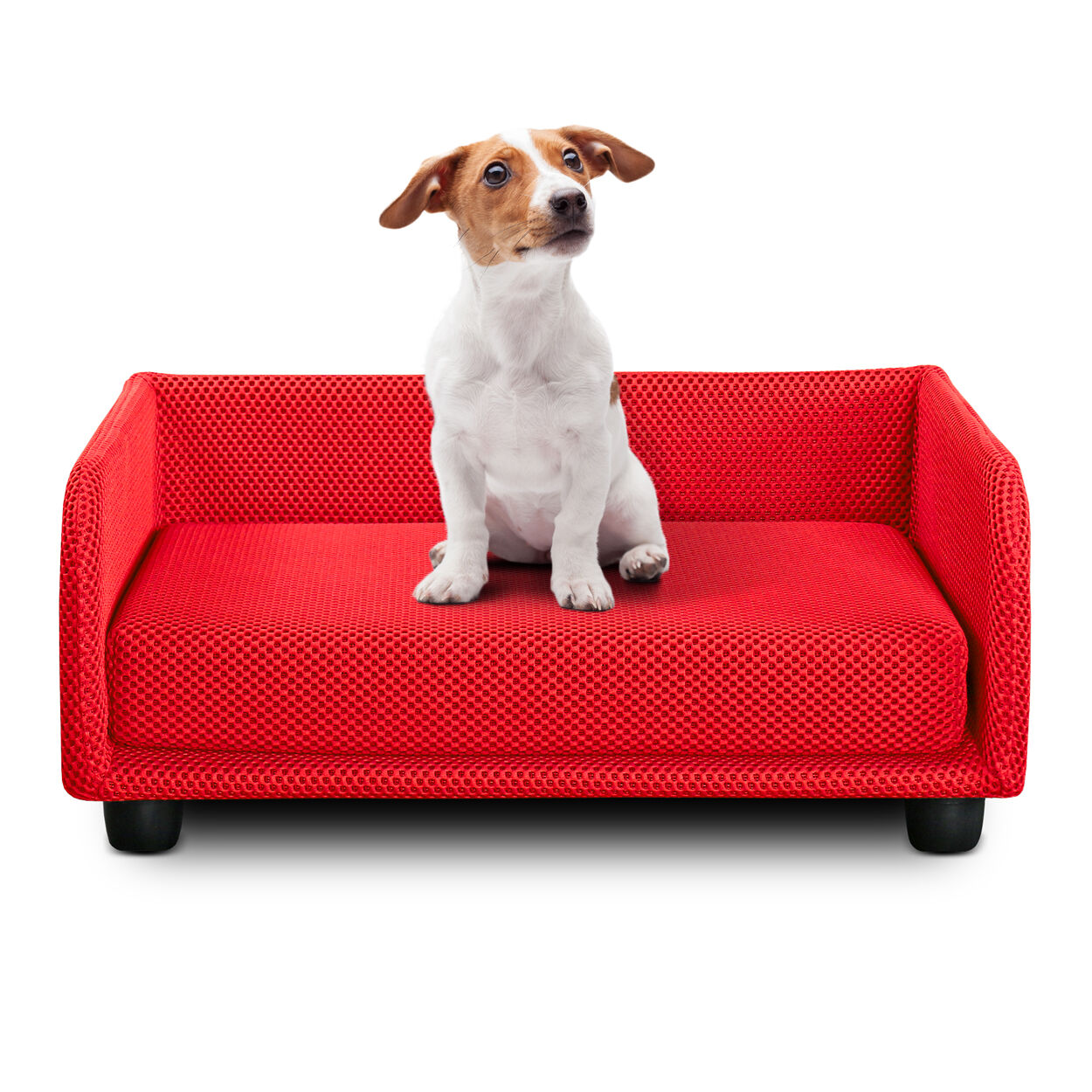 EvergreenWeb Cuccia per cani Divano letto King Dog Home 50X70 Rosso