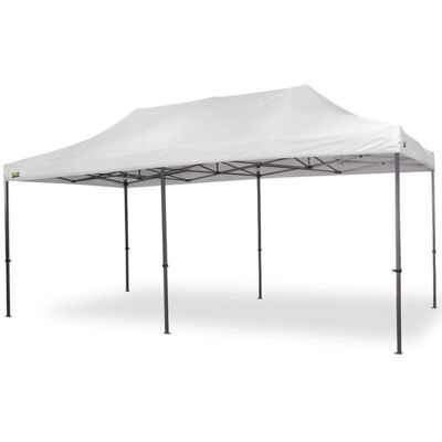 Bertoni Expo 3x6 Gazebo - Pieghevole, Resistente UV, Struttura in Acciaio - Gazebo Bertoni Expo 3x6 Gazebo - Pieghevole, Resistente UV, Struttura in Acciaio - Gazebo