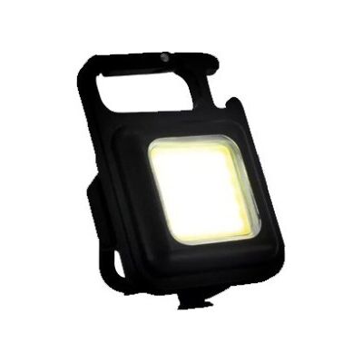 Avidsen Lampada A Led Ricaricabile Keichain Light 103647 Avidsen Lampada A Led Ricaricabile Keichain Light 103647
