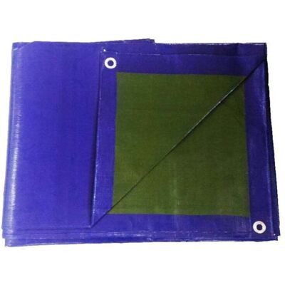 Telo Pe 2 X 3 Blue-Verde 200g/m2 Bertoni Telo Pe 2 X 3 Blue-Verde 200g/m2 Bertoni