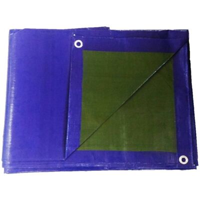 Telo Pe 3 X 3 Blue-Verde 200g/m2 Bertoni Telo Pe 3 X 3 Blue-Verde 200g/m2 Bertoni