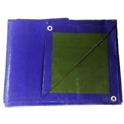 Telo Pe 2 X 2 Blue-Verde 200g/m2 Bertoni Telo Pe 2 X 2 Blue-Verde 200g/m2 Bertoni